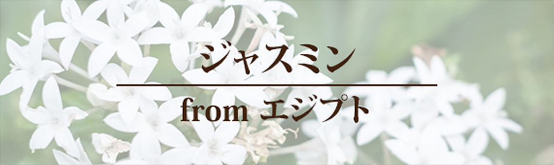 ジャスミンfrom エジプト