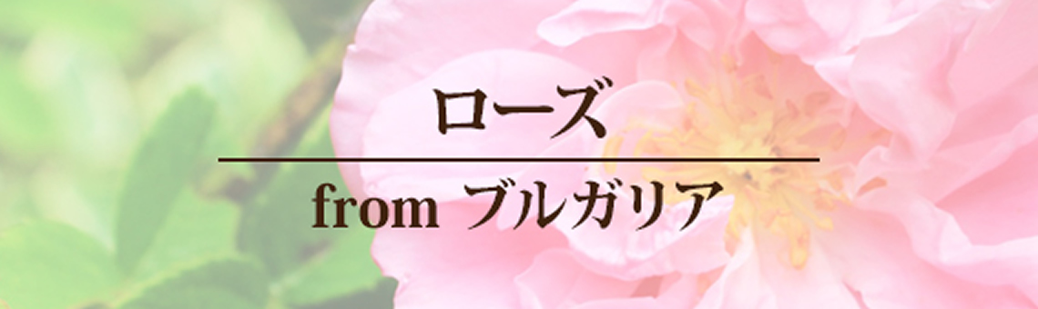 ローズfrom ブルガリア