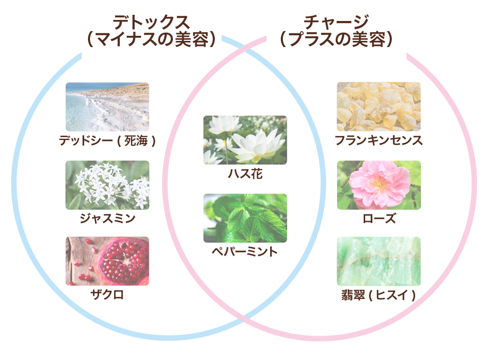 デトックス（マイナスの美容） チャージ（プラスの美容）