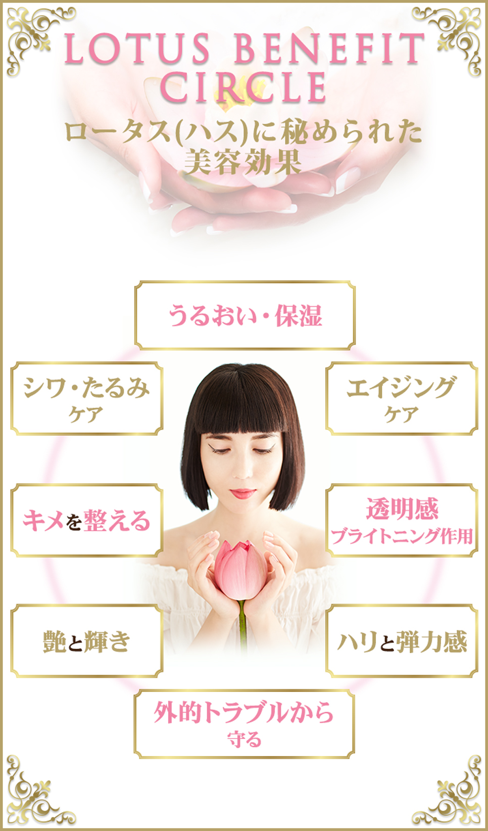 ロータス（ハス）